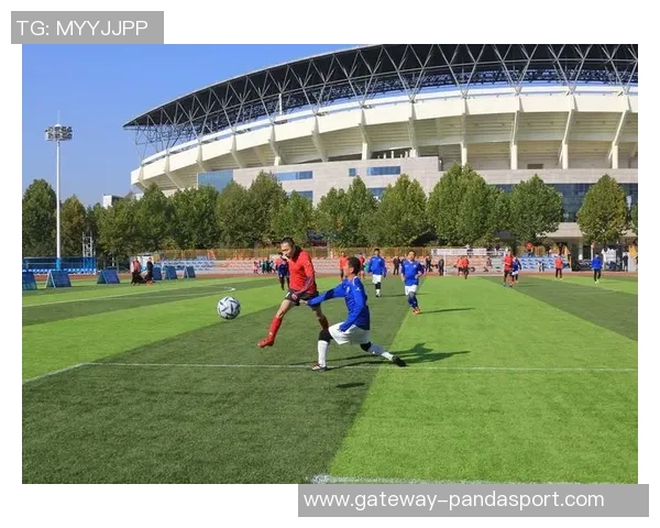 福田体育馆足球赛事盛况回顾及未来发展展望